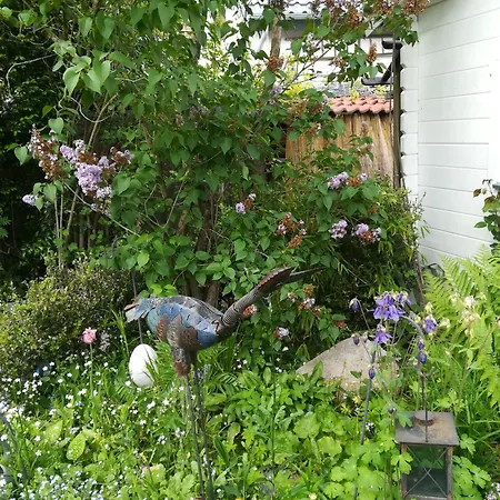 Comfort Double With Private Bathroom