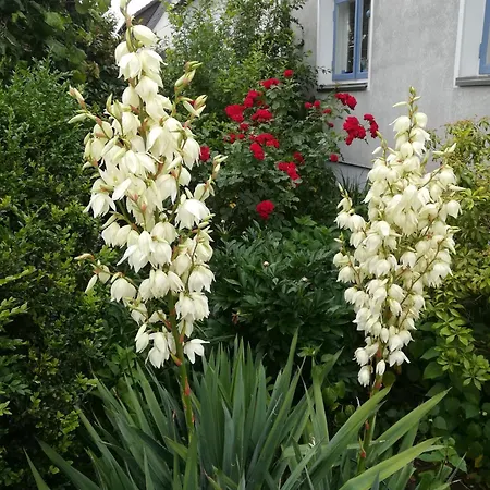 منزل للإقامة Comfort Double With Private Bathroom *