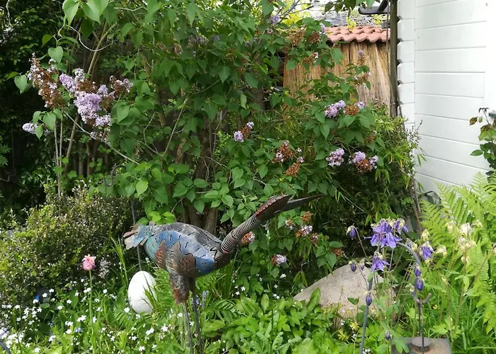 Comfort Double With Private Bathroom